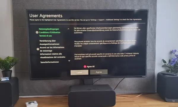 T&amp;Cs in a foreign language